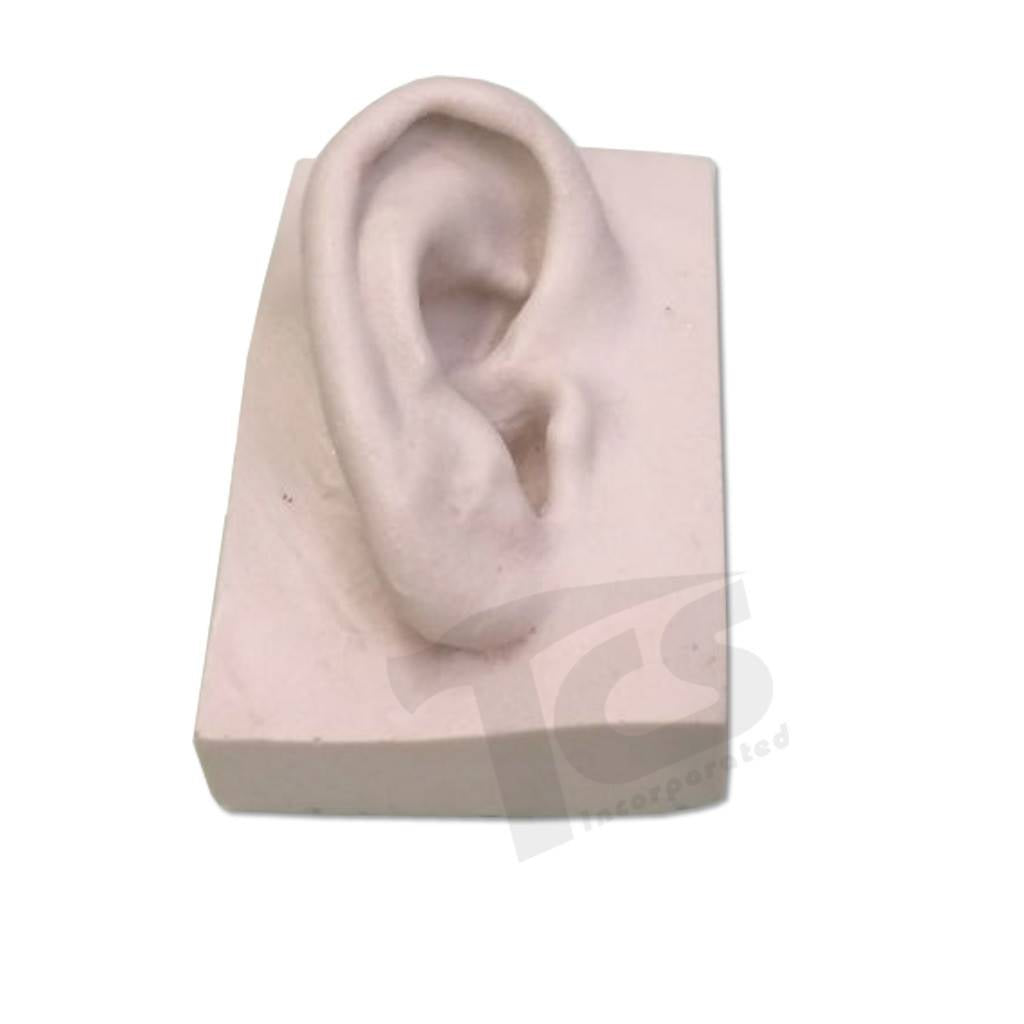 Resin Telinga #1 (Muda)