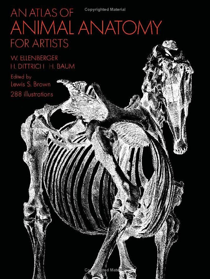 Atlas De Anatomía Animal Libro Ellenberger