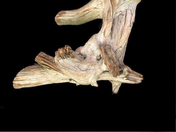 Kayu apung 30X13X6 #091004