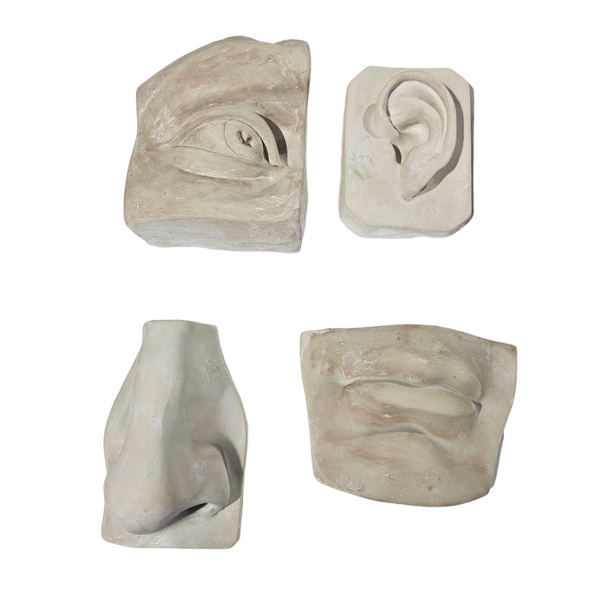 Body Parts