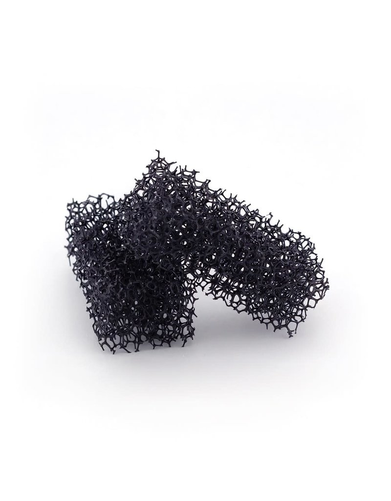 Sponges