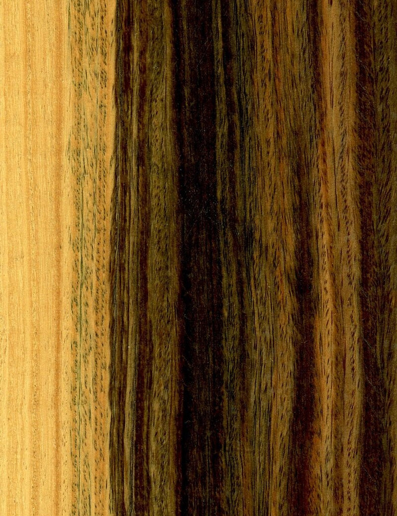 Lignum Vitae