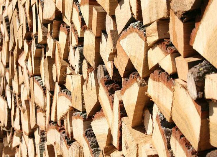 All Wood