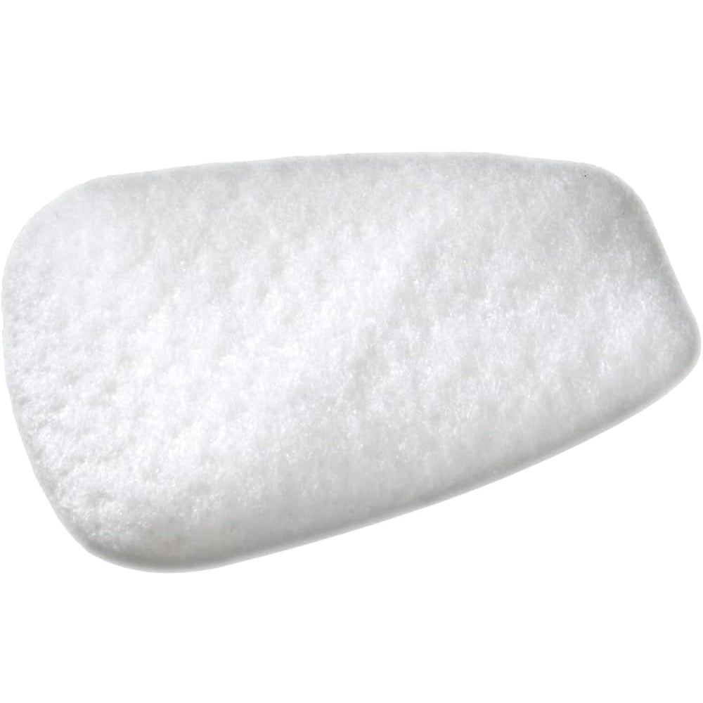 3M™ Particulate Filter 5P71/07194(AAD) P95 10pc