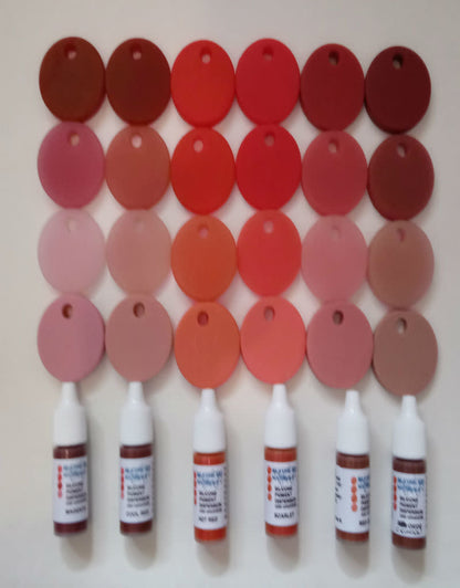 Set 7ml Silicone Dispersion Reds (6 Tona Merah)