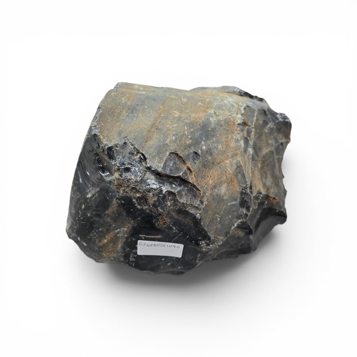 51 paun Obsidian 8x12x13 #012006