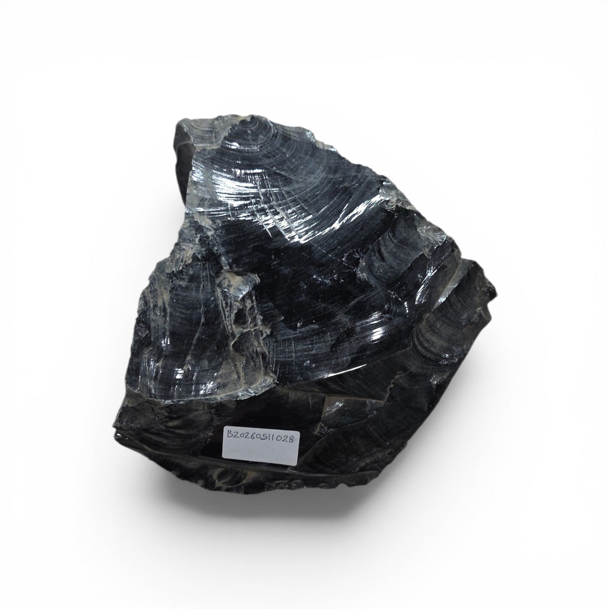 51 paun Obsidian 8x12x13 #012006