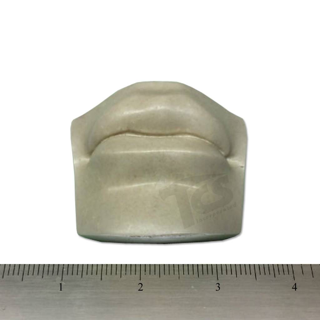 Resin Mouth #2 (David)