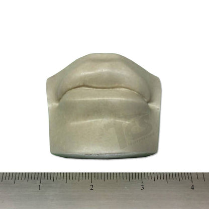 Resin Mouth #2 (David)