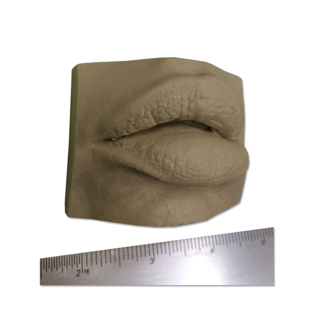 Resin Mulut #1 (Bibir Terbelah)
