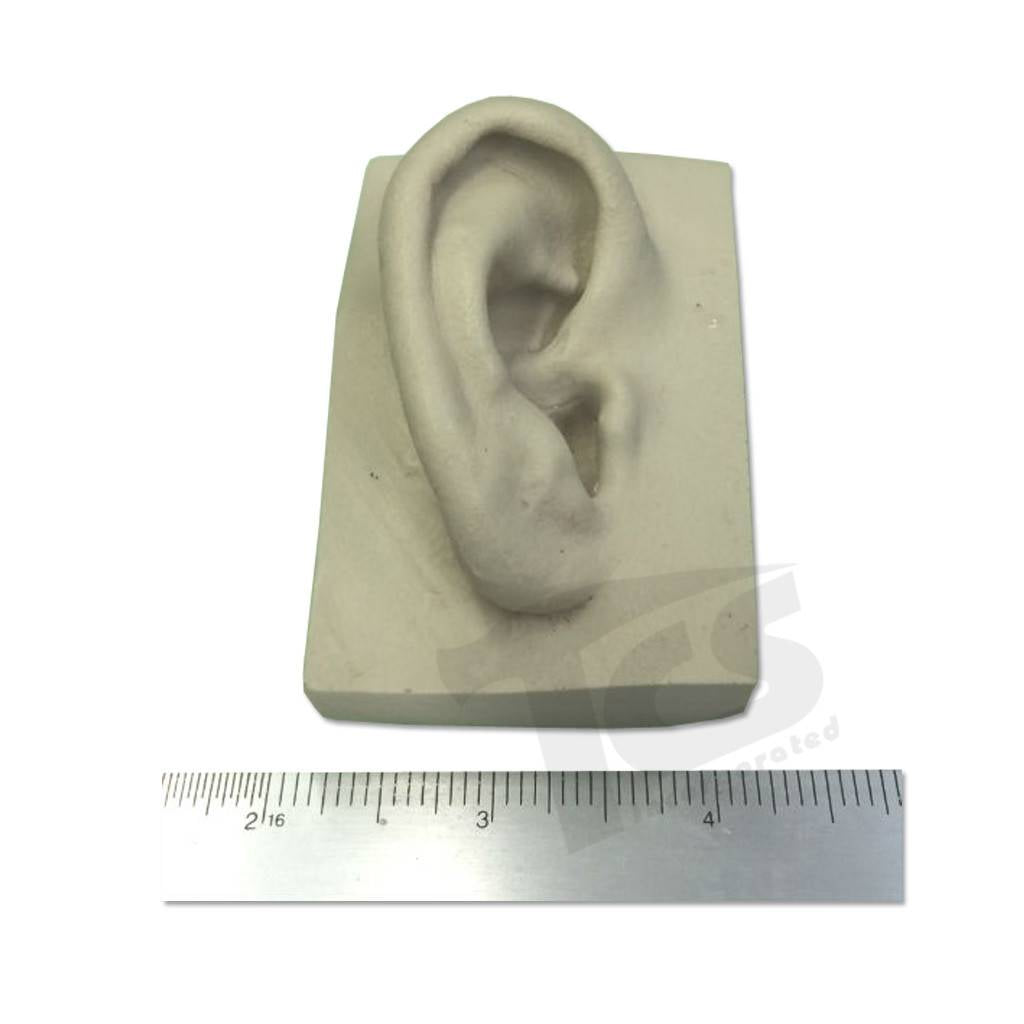 Resin Telinga #1 (Muda)