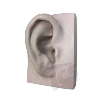 Resin Telinga #1 (Muda)