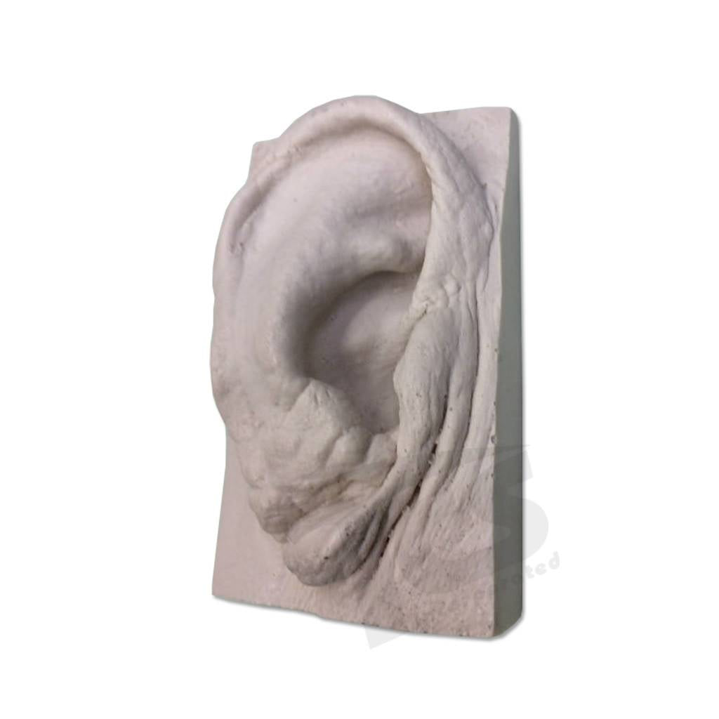 Resin Ear #2 (Elderly)