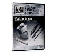 Working in CX5 DVD