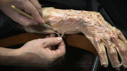 Character Makeup - Multi-Piece Prosthetic Application Fuller DVD