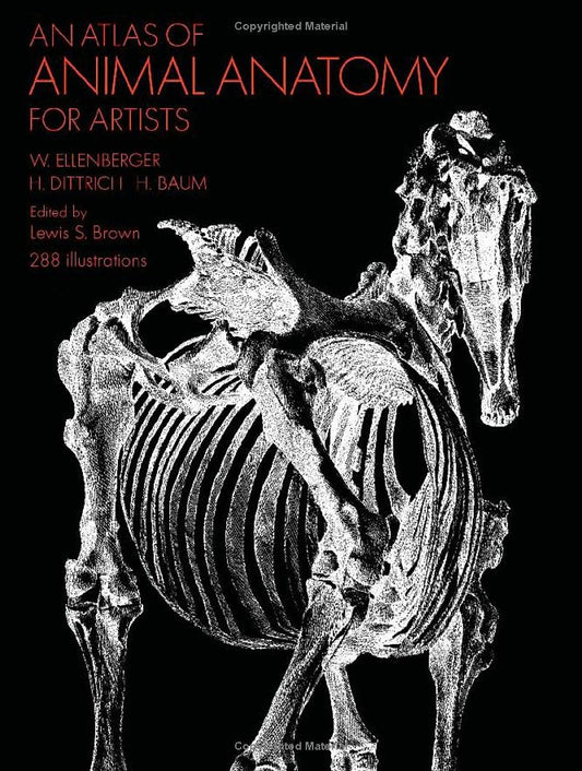 Atlas Of Animal Anatomy Book Ellenberger