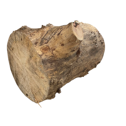 White Pine Rough Blocks