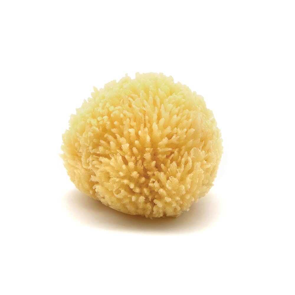 Neptune™ Caribbean Sea Sponges