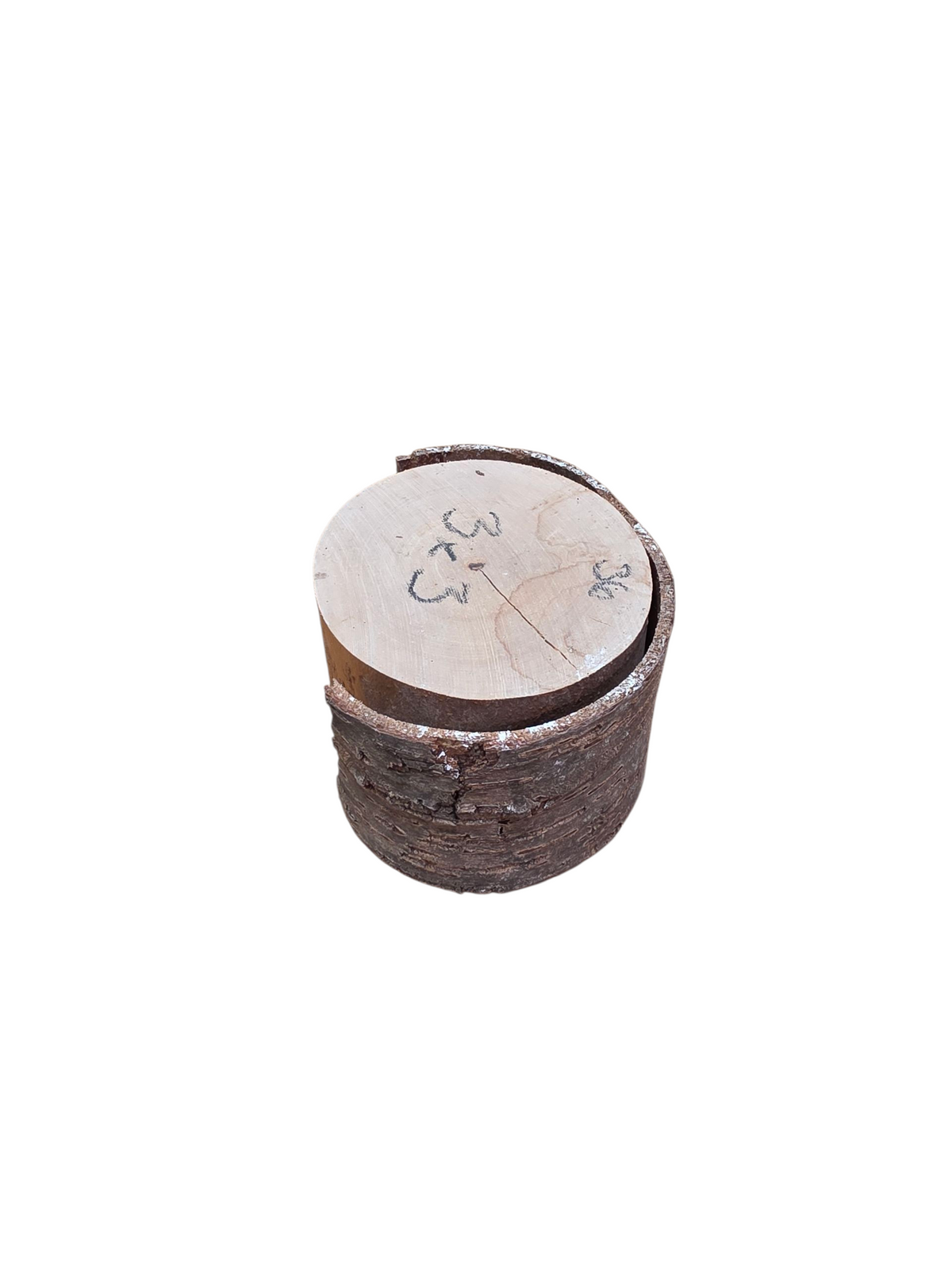 Bulat Kayu Ceri Asli