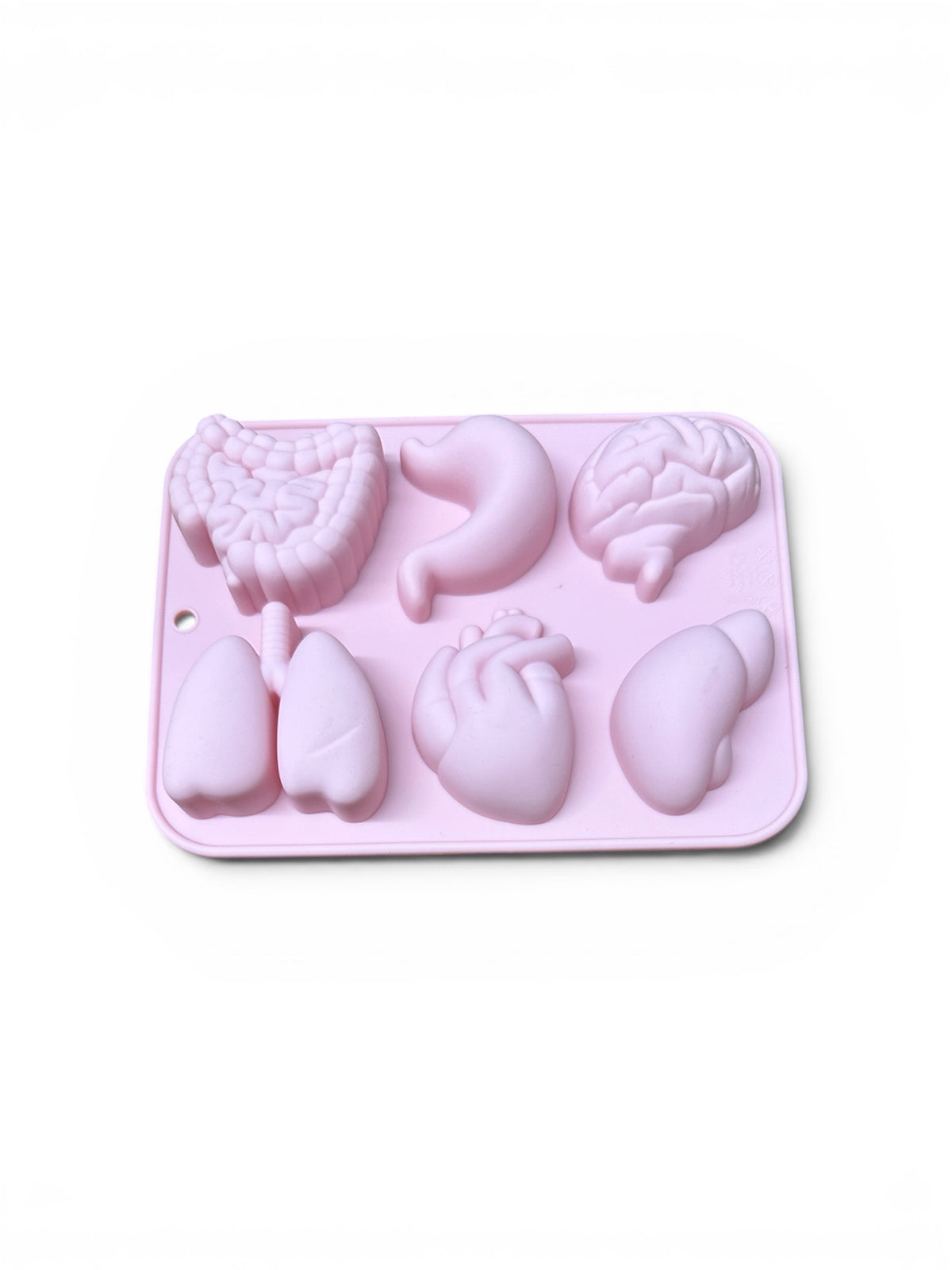 Organ Silicone Mold