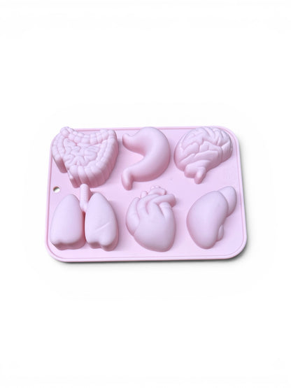 Organ Silicone Mold