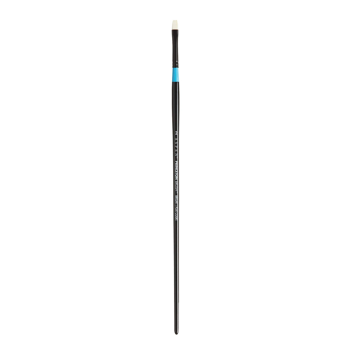 Aspen™ Series 6500 Brushes