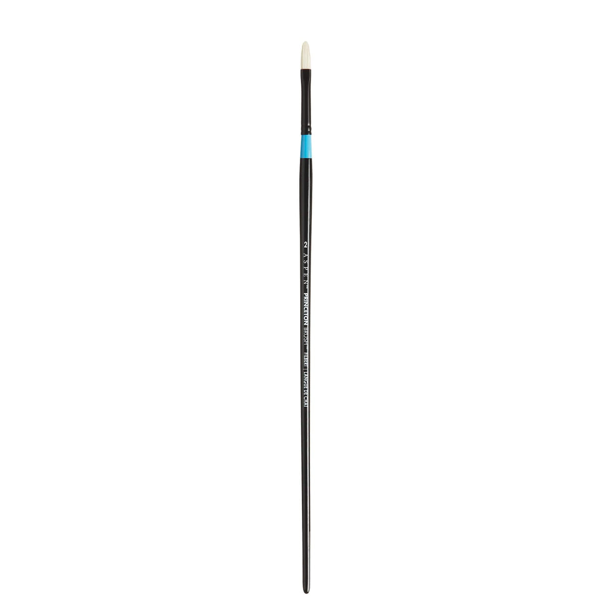 Aspen™ Series 6500 Brushes