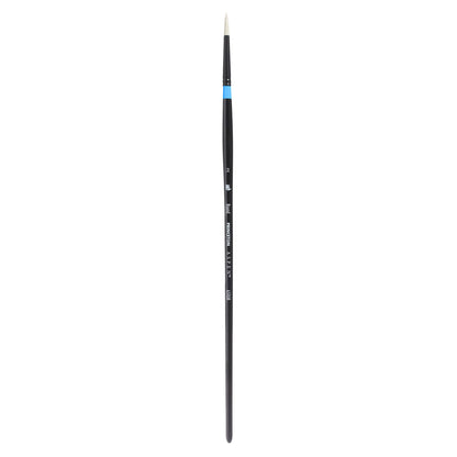 Aspen™ Series 6500 Brushes