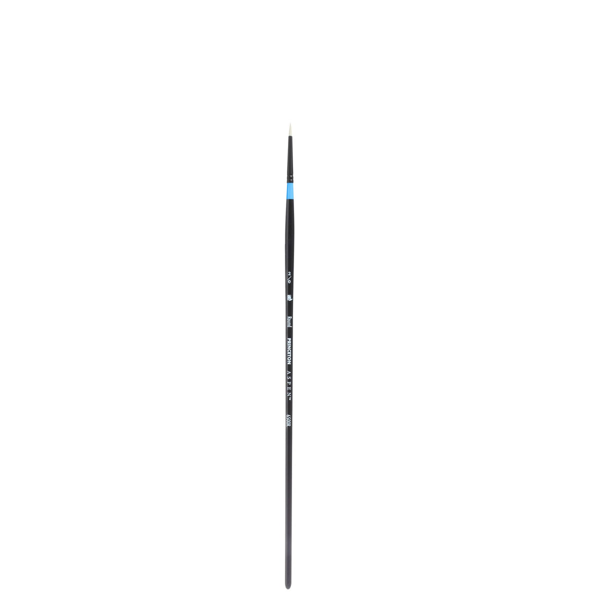 Aspen™ Series 6500 Brushes