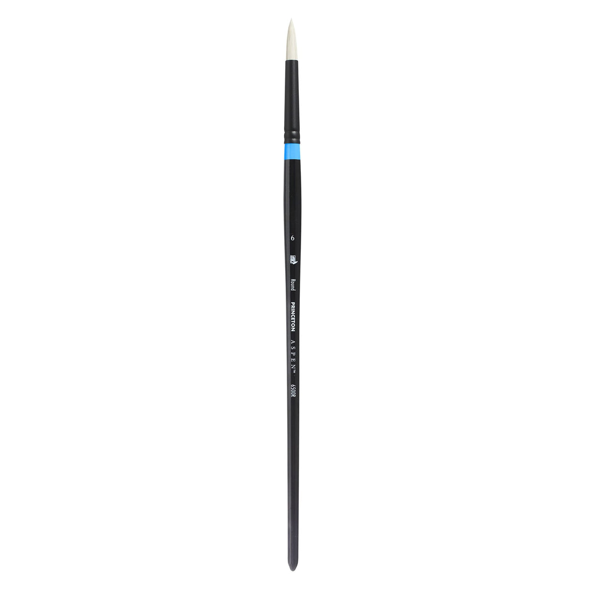 Aspen™ Series 6500 Brushes