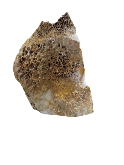 Onyx Pakistan 11"x8"x12" 1004 