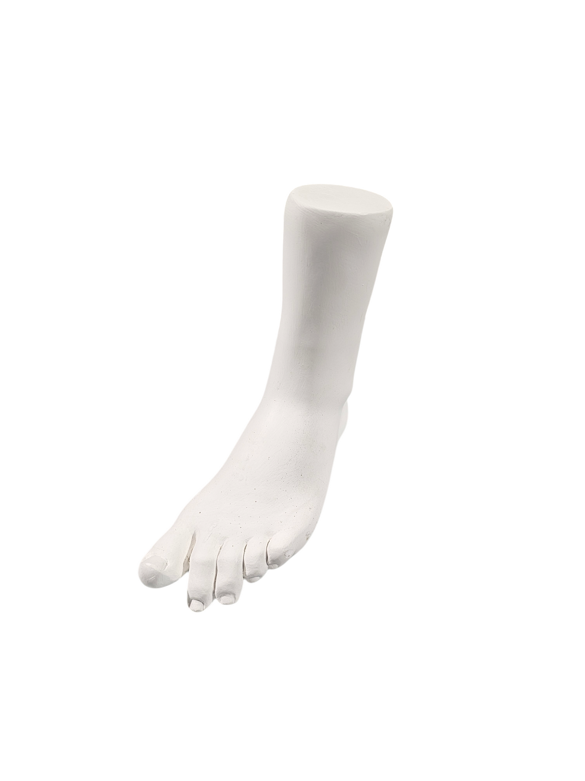 Plaster Female Foot