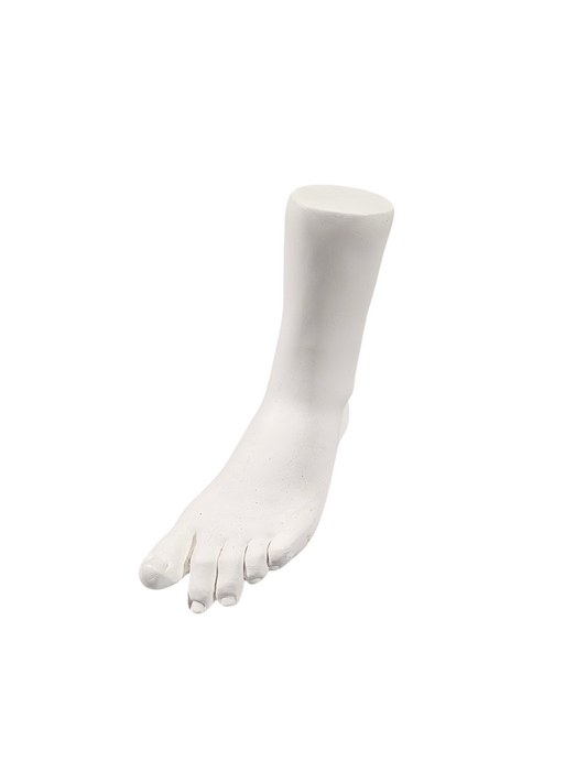 Plaster Female Foot