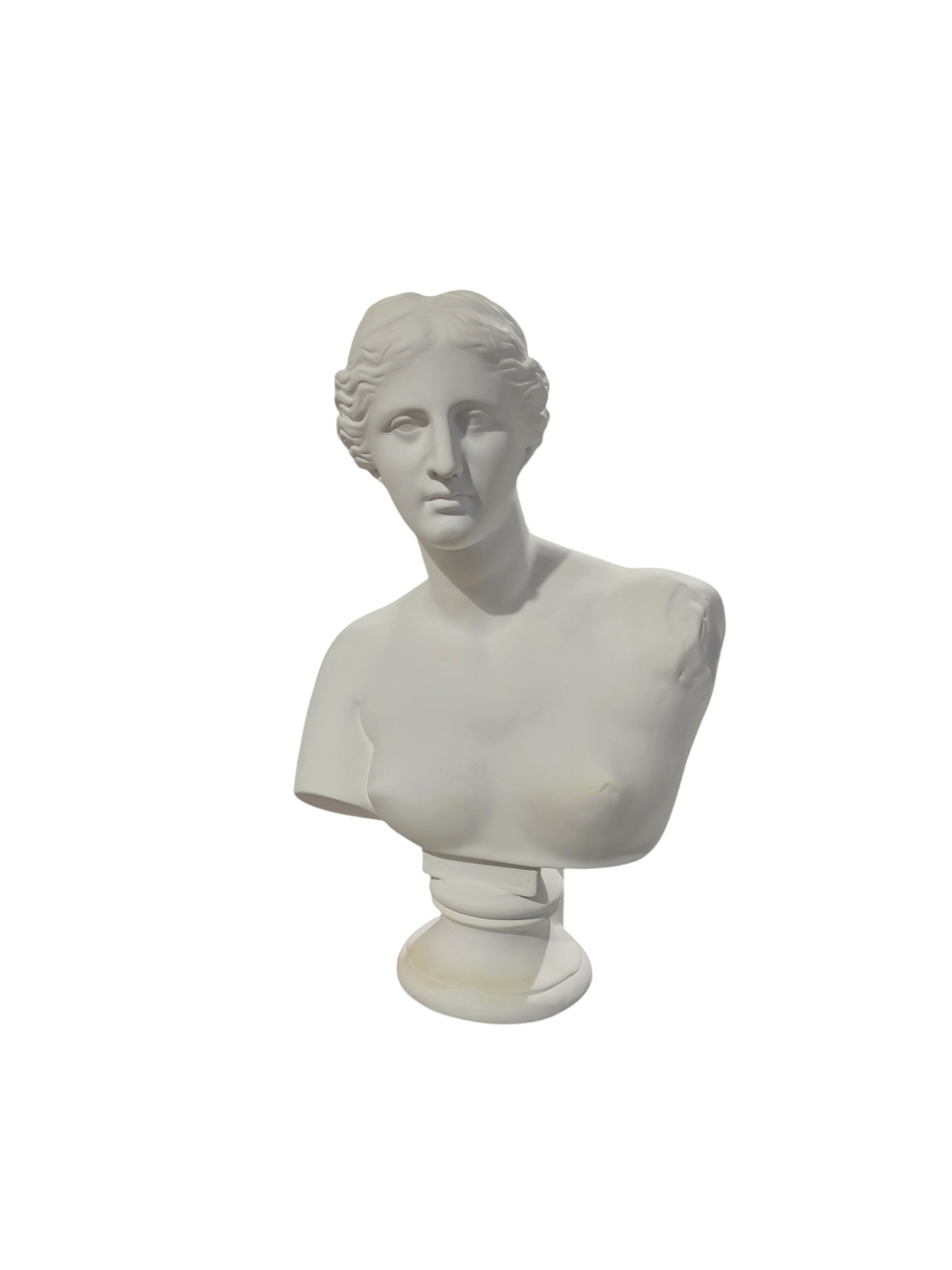 Bust Plaster Venus