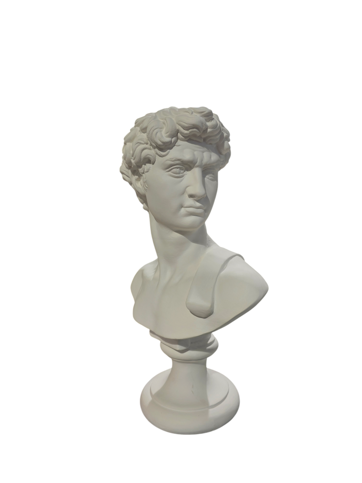 Busto de yeso de David