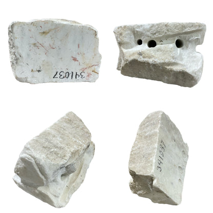 12lb Carrara Bianco blue/gray 6x6x8 #341037
