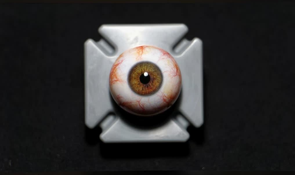 Camera Ready Brown Hazel Eye Set 26mm