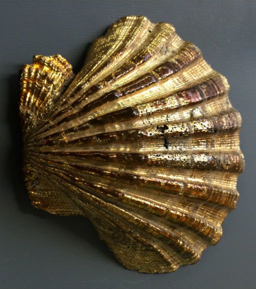 Shell Chrome Emas
