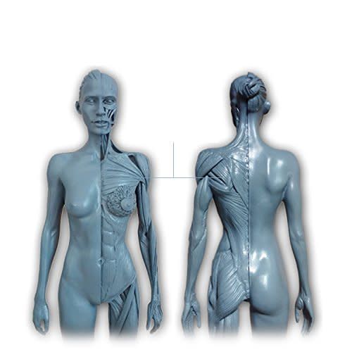 Ecorche Female Figure 12in