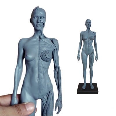 Ecorche Perempuan Rajah 12in