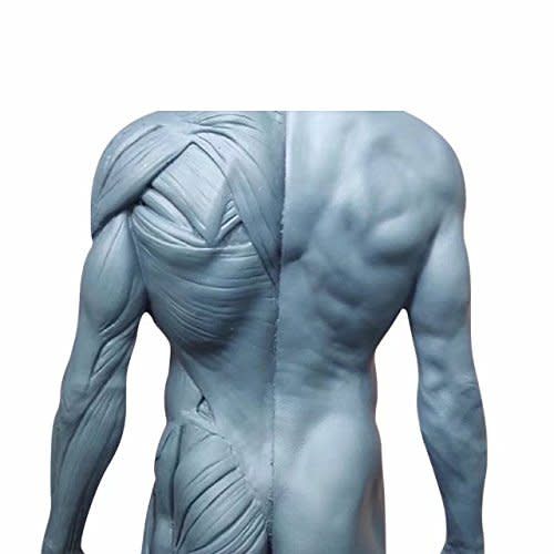 Ecorche Lelaki Rajah 12in