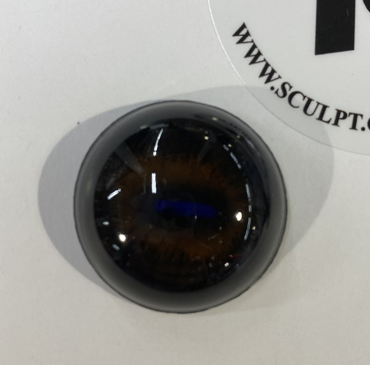 Ojos de vidrio vintage marrón oscuro (pupila azul brillante) 1"x1/3" (par)