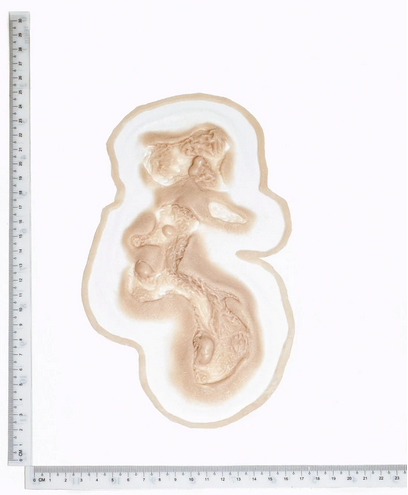 Laceration - GH18 Silicone Prosthetic