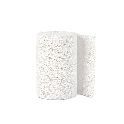 Kasa Plaster Gypsona®