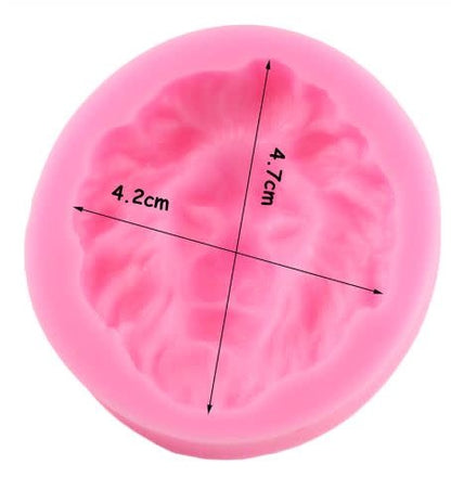 Lion's Head Silicone mold