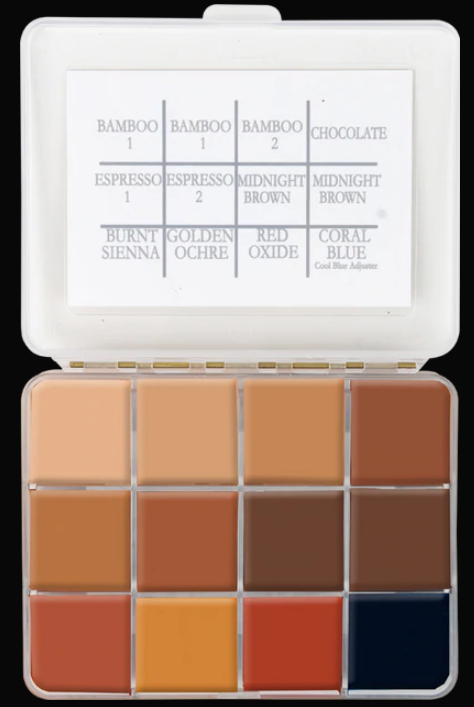 Pada Set Skin Illustrator Palet Fleshtone Gelap