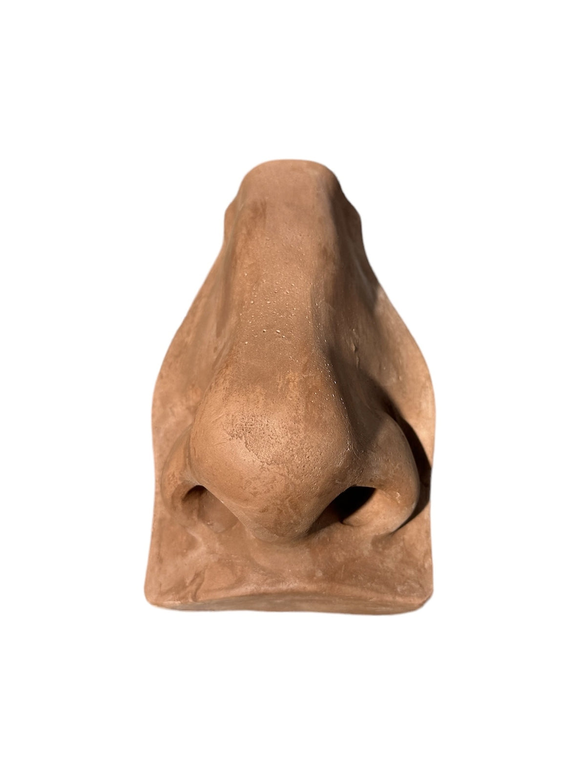 Plaster Hidung David Brown