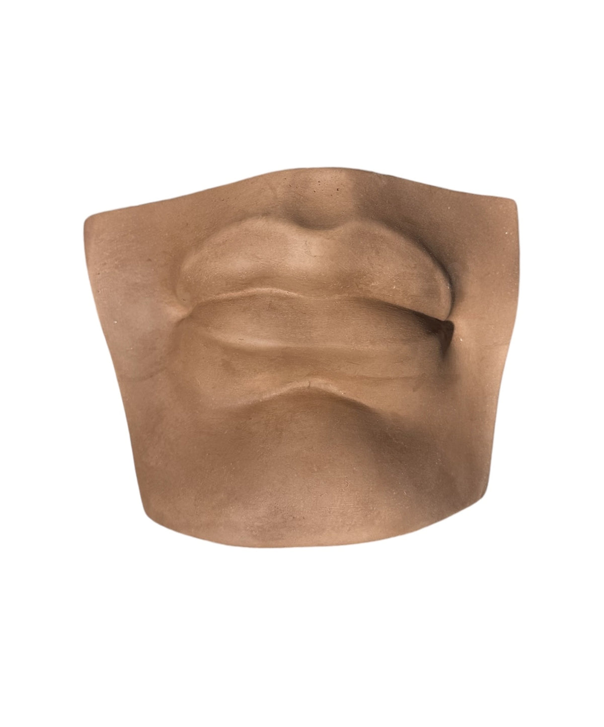 Plaster Mulut David Brown