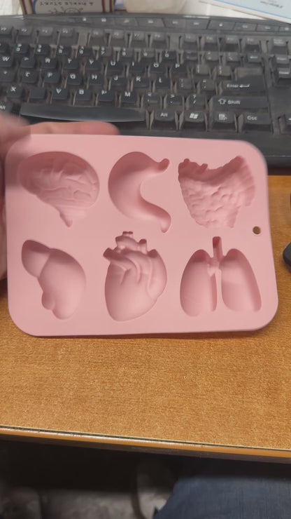 Organ Silicone Mold