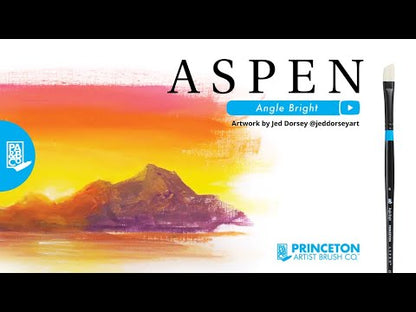 Aspen™ Series 6500 Brushes